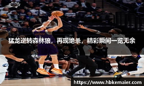 猛龙逆转森林狼，再现绝杀，精彩瞬间一览无余